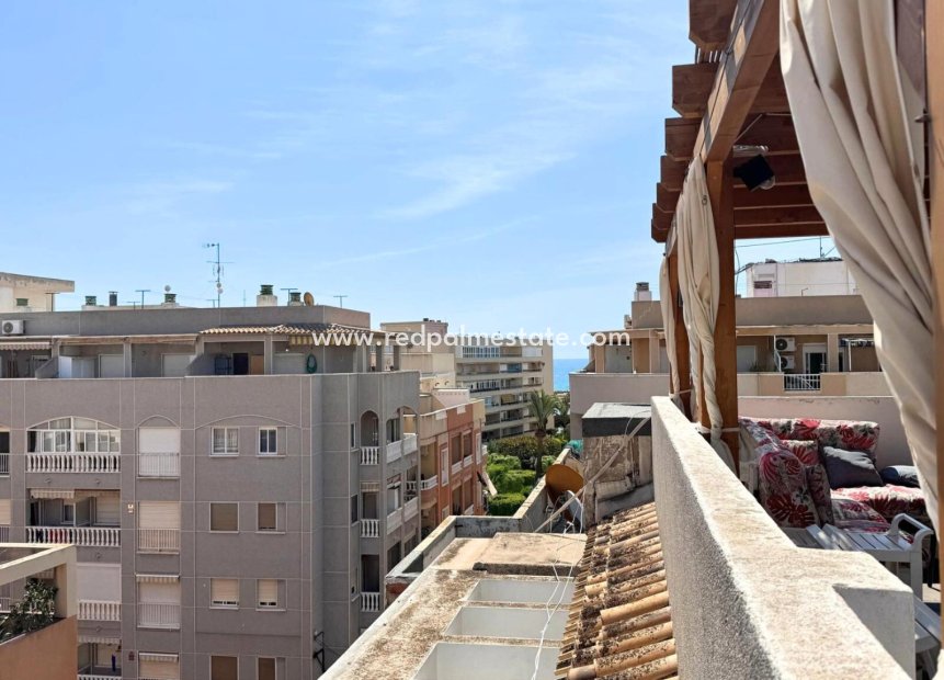 Resale - Apartments -
Torrevieja