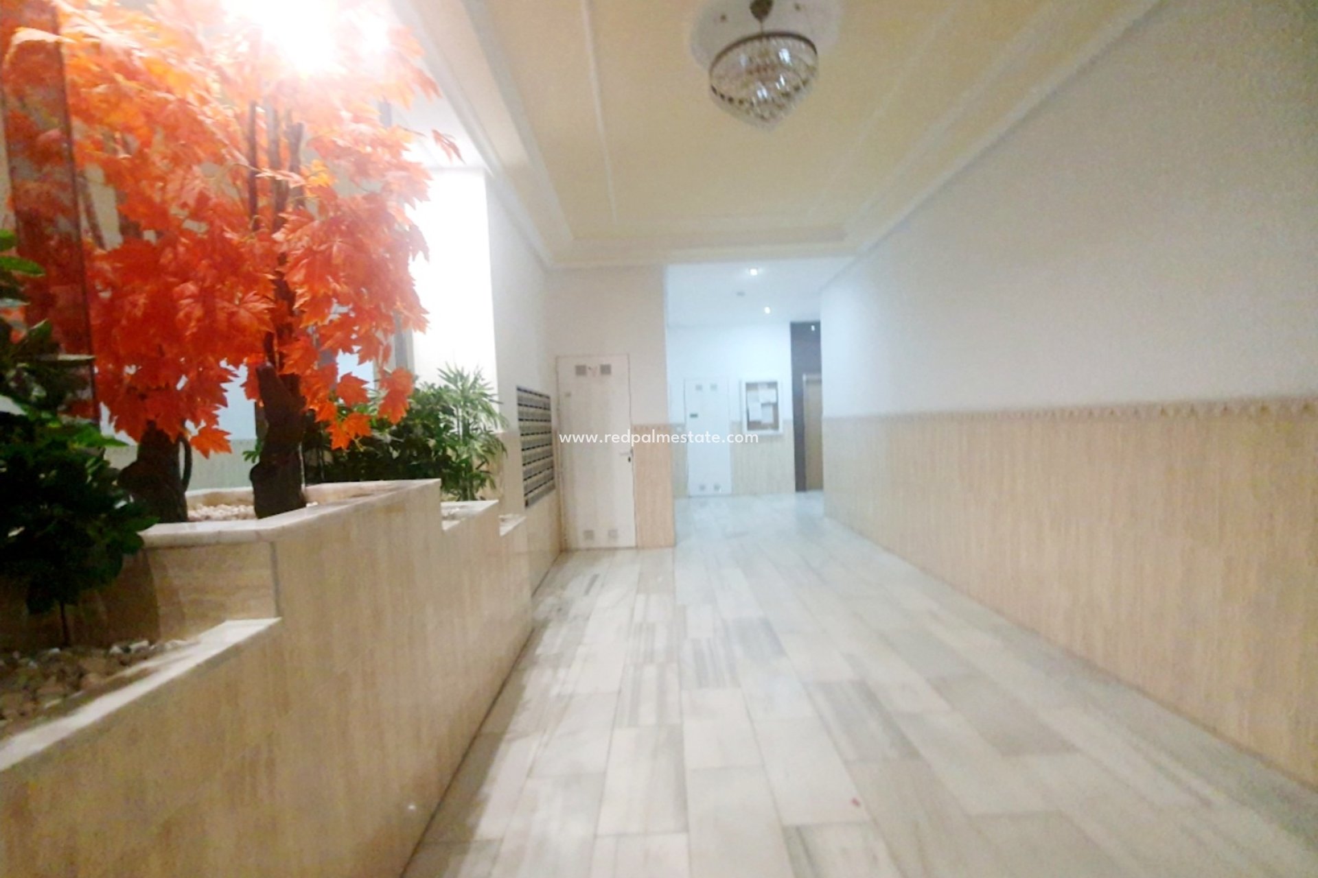 Resale - Apartments -
Torrevieja