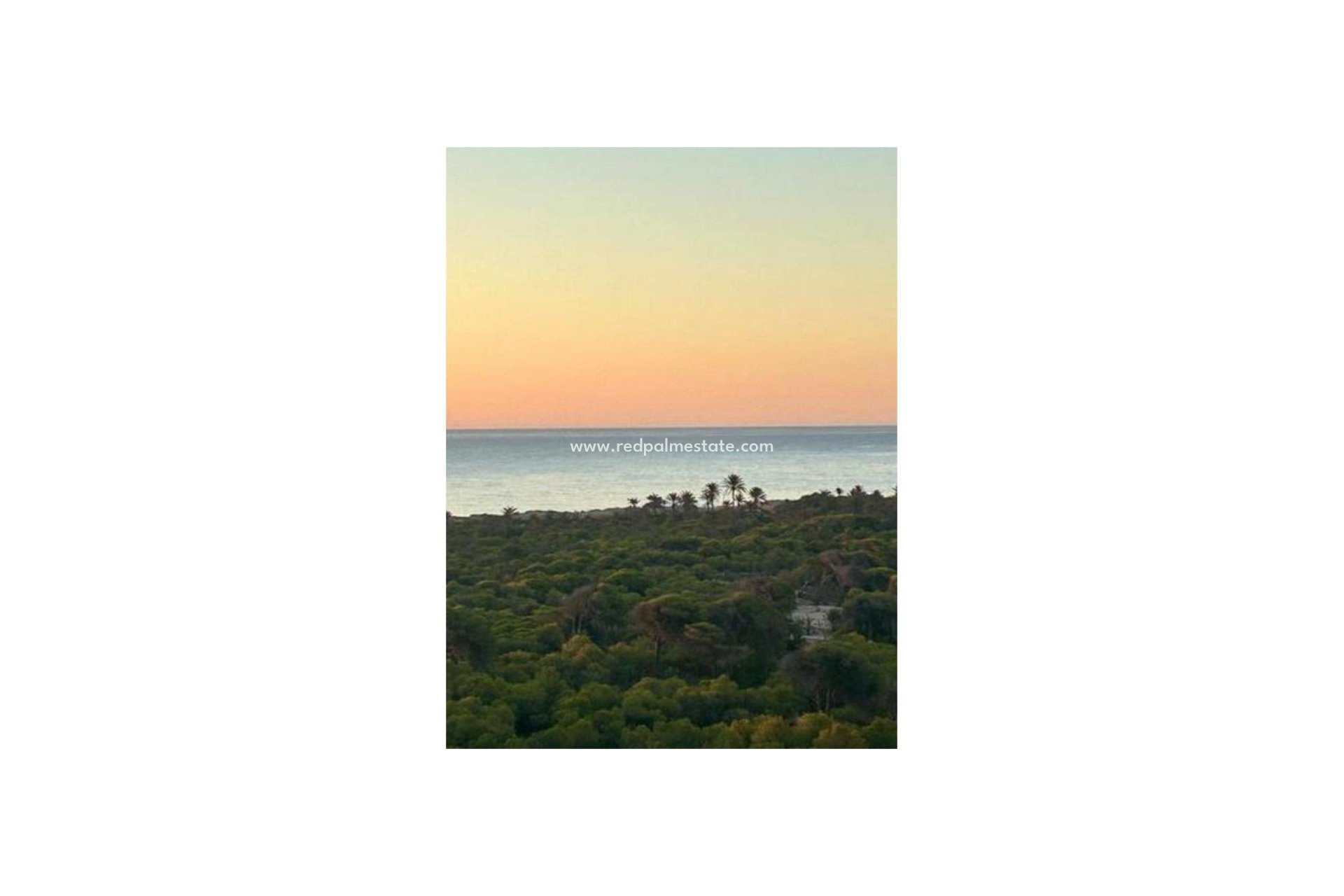 Resale - Apartments -
Torrevieja