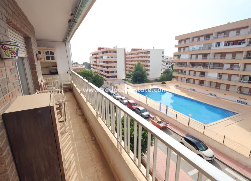 Resale - Apartments -
Torrevieja