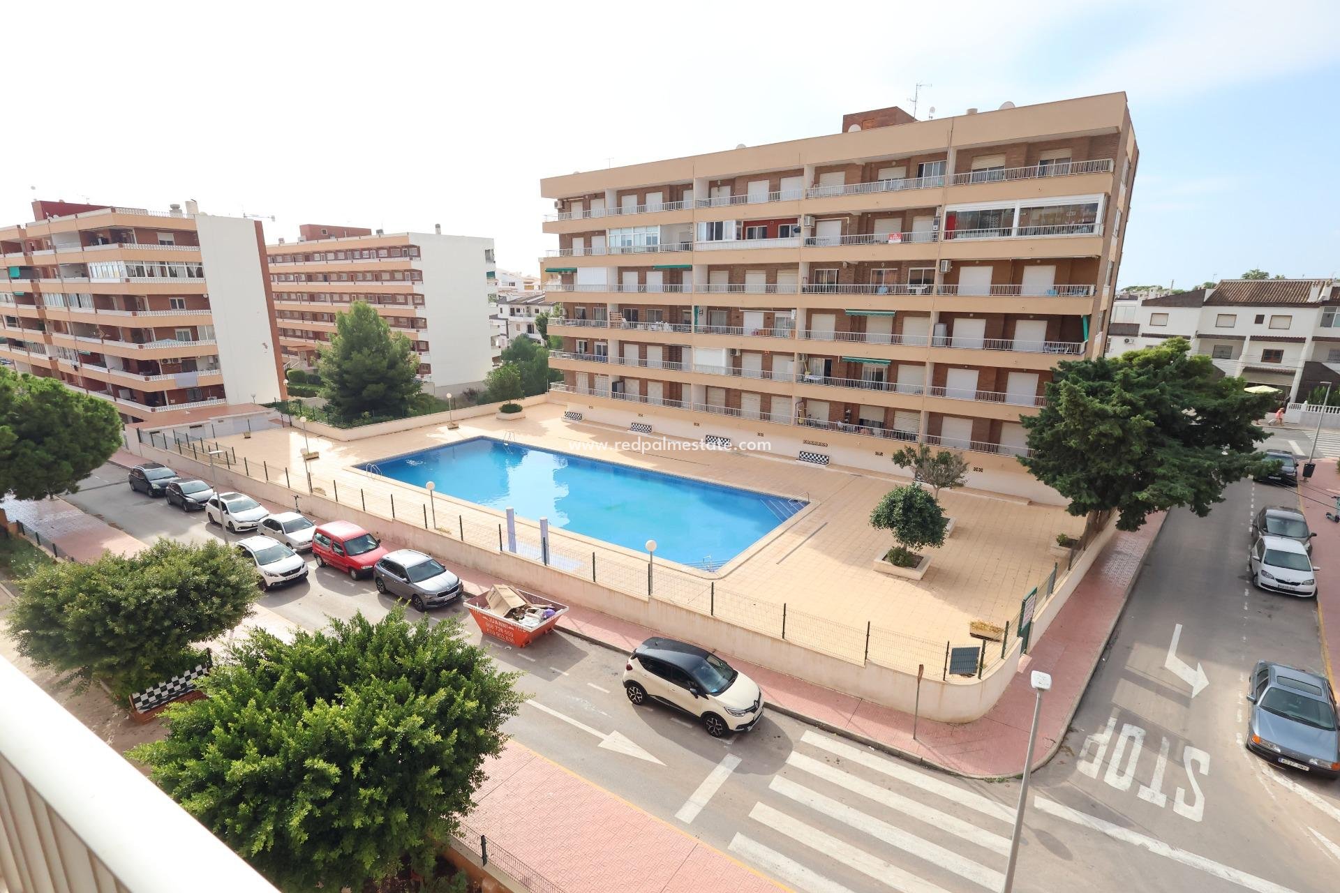Resale - Apartments -
Torrevieja