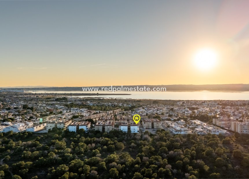 Resale - Apartments -
Torrevieja
