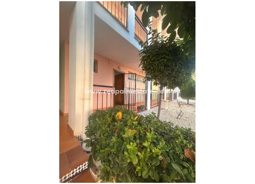 Resale - Apartments -
Torrevieja