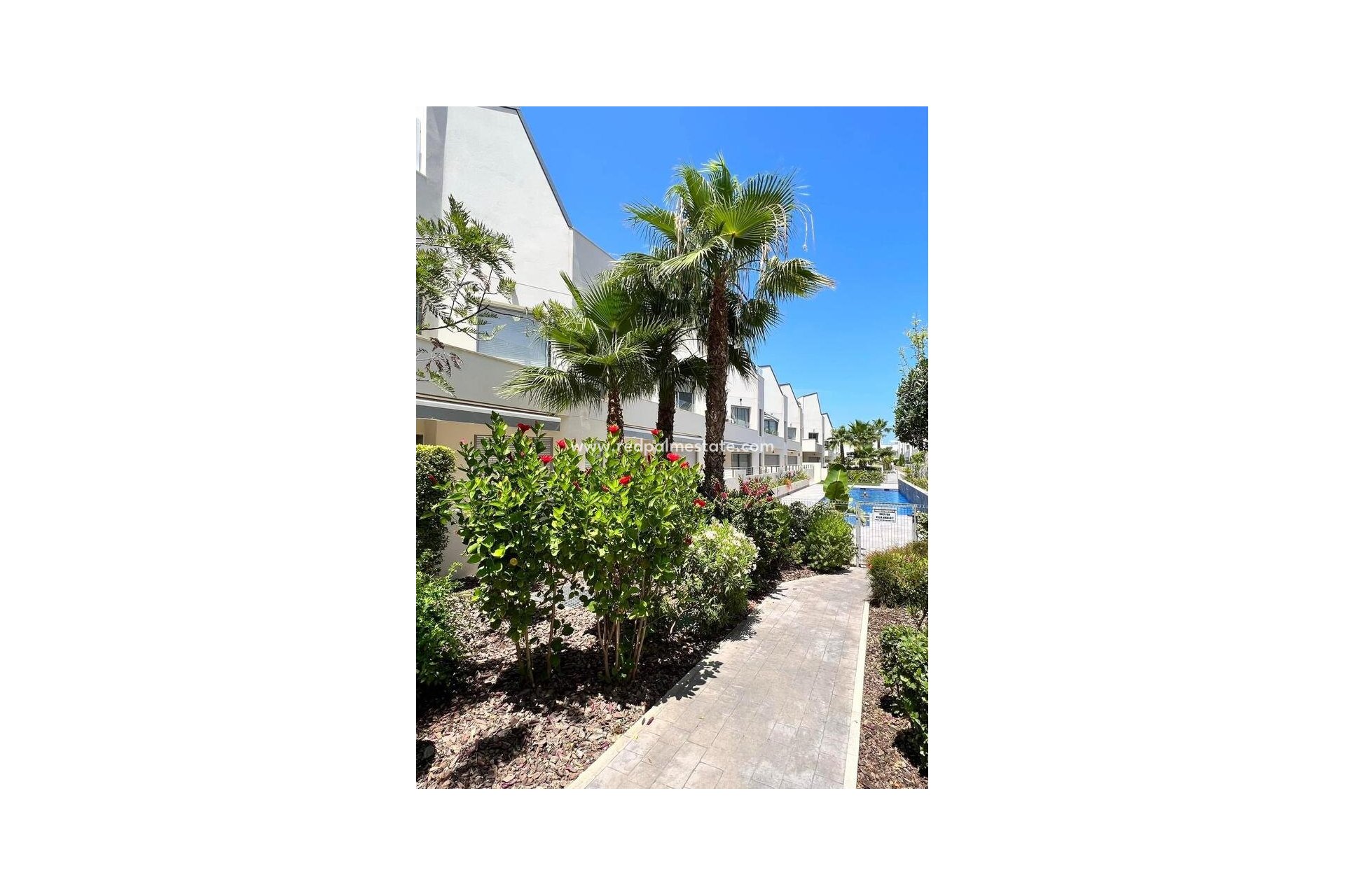 Resale - Apartments -
Torrevieja