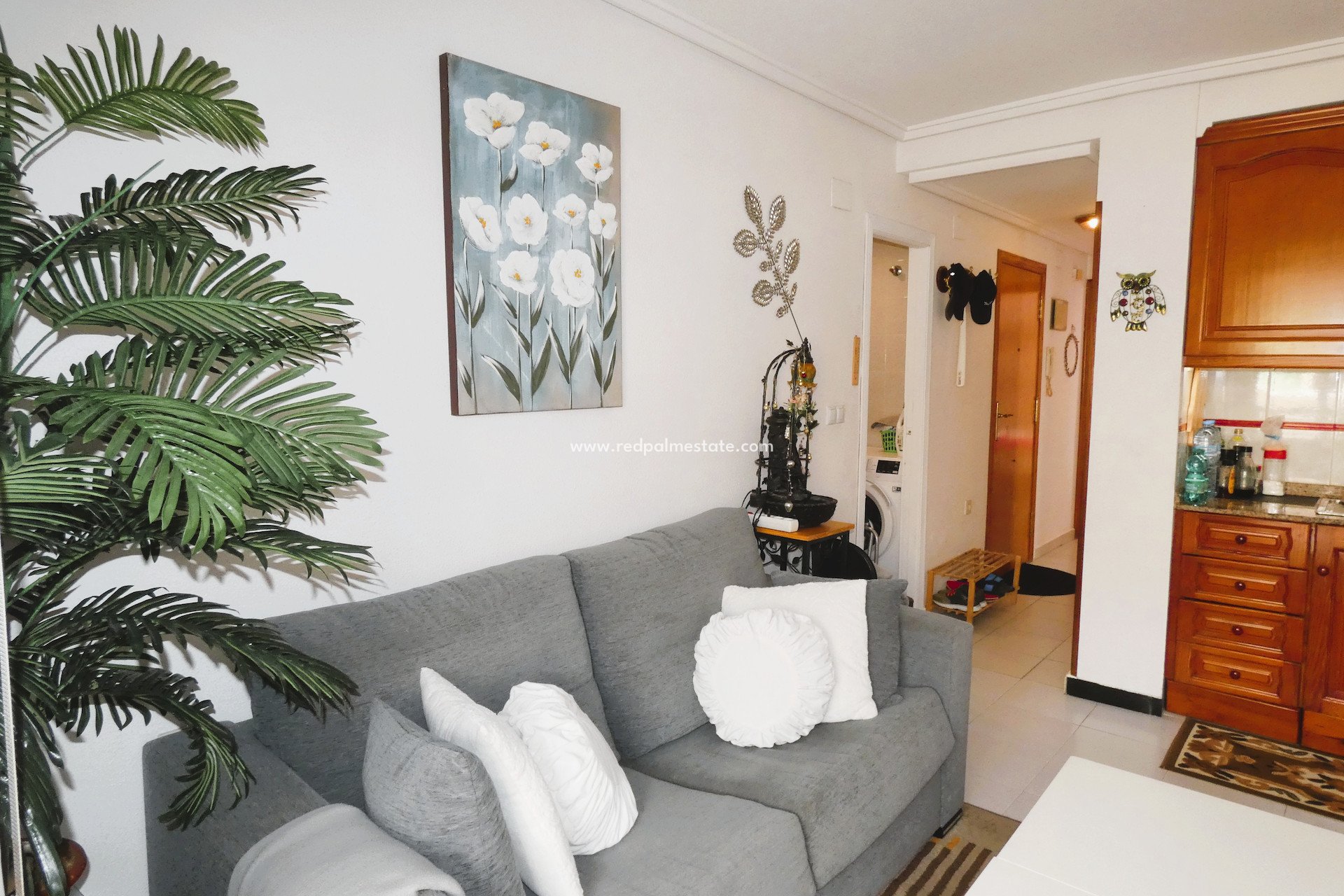 Resale - Apartments -
Torrevieja