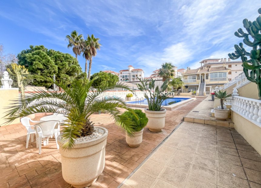 Resale - Apartments -
Torrevieja