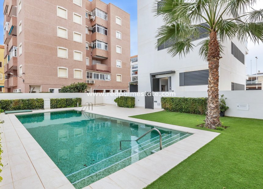 Resale - Apartments -
Torrevieja