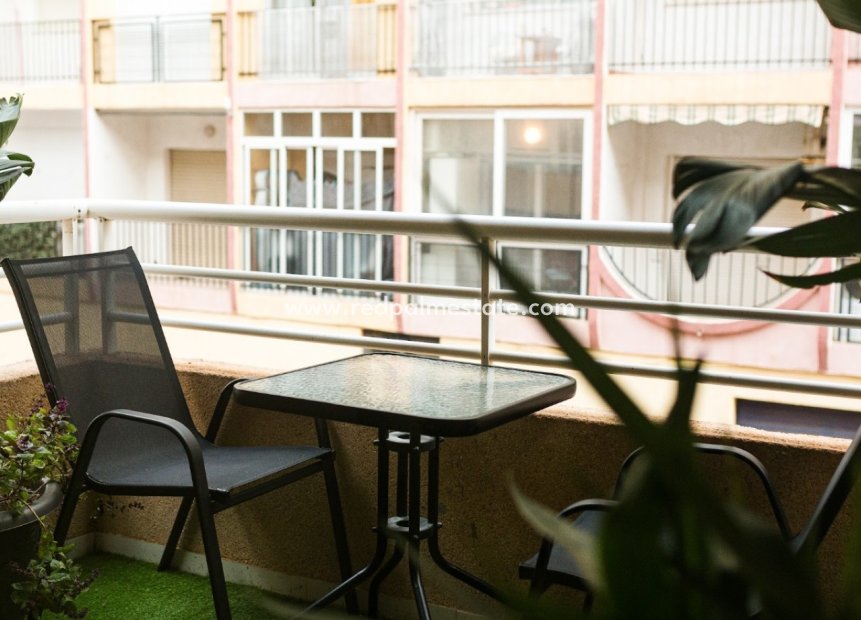 Resale - Apartments -
Torrevieja