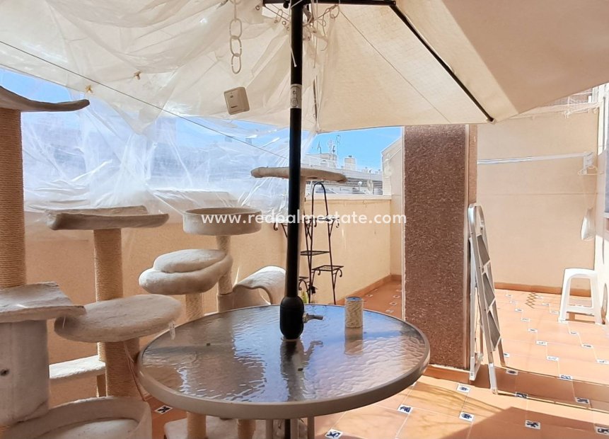 Resale - Apartments -
Torrevieja