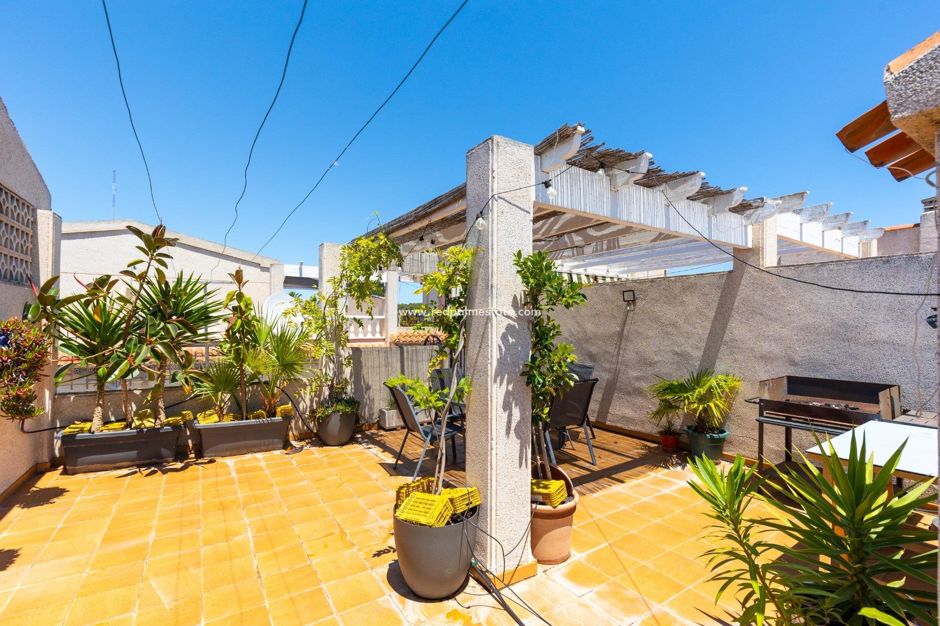 Resale - Bungalow -
Guardamar del Segura - El Moncayo