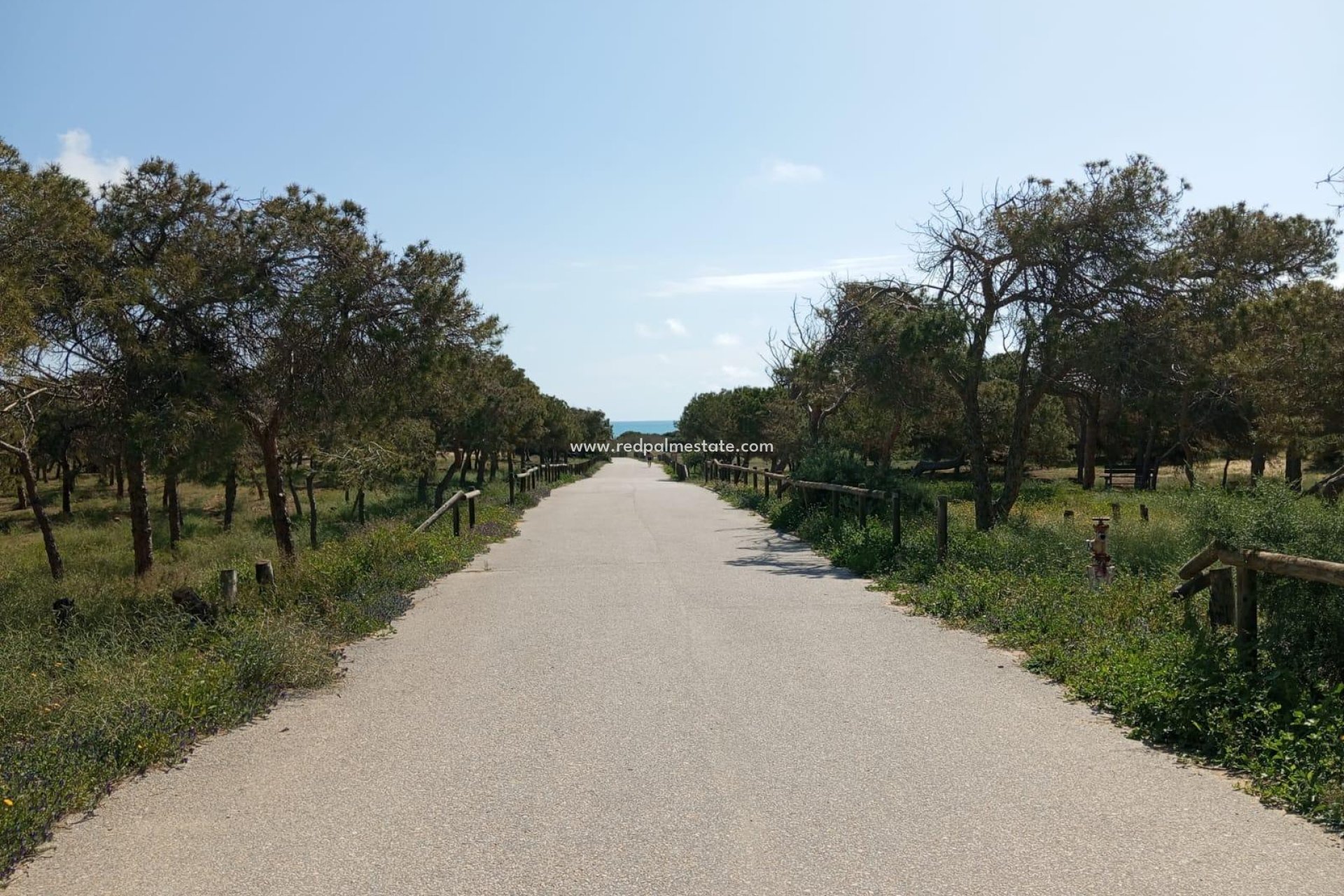 Resale - Bungalow -
Guardamar del Segura - Urbanizaciones