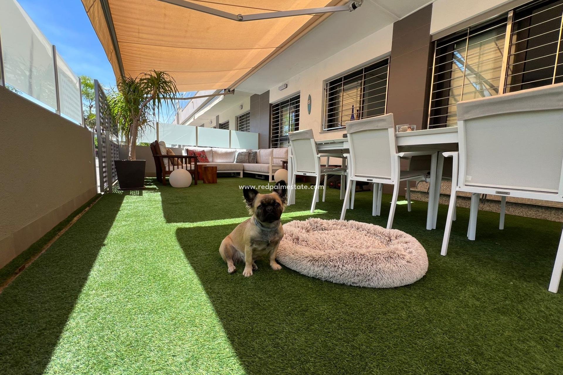 Resale - Bungalow -
Pilar de la Horadada - Torre de la Horadada