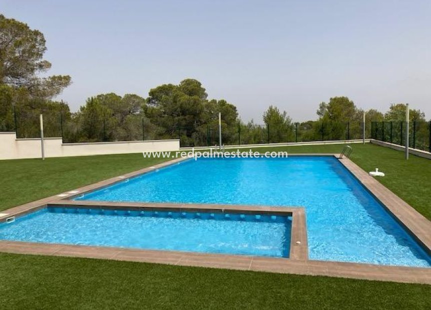 Resale - Bungalow -
San Miguel de Salinas - Las Colinas
