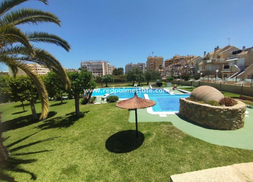 Resale - Bungalow -
Torrevieja - Costa Blanca