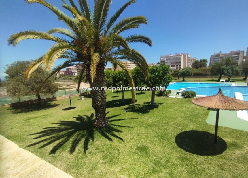 Resale - Bungalow -
Torrevieja - Costa Blanca