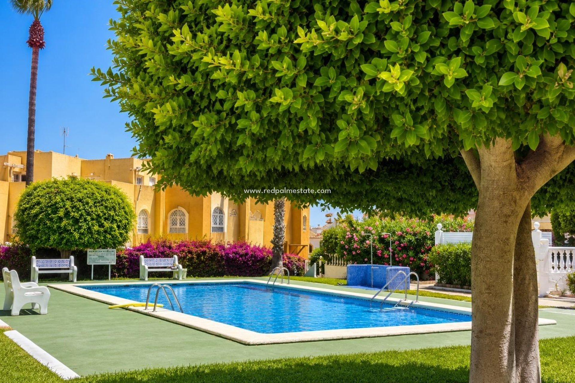 Resale - Bungalow -
Torrevieja - La Mata