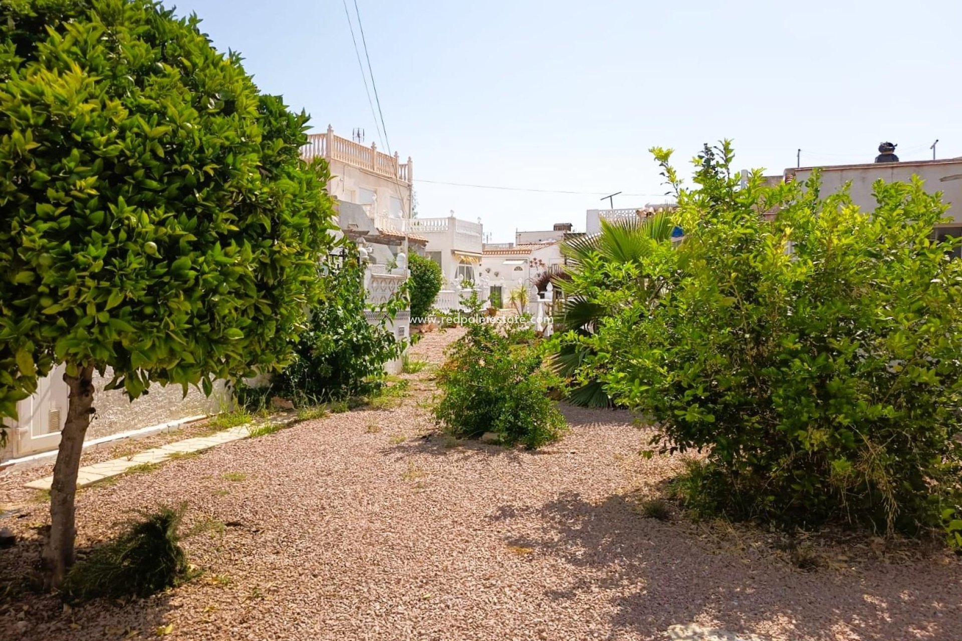 Resale - Bungalow -
Torrevieja - La Siesta - El Salado - Torreta
