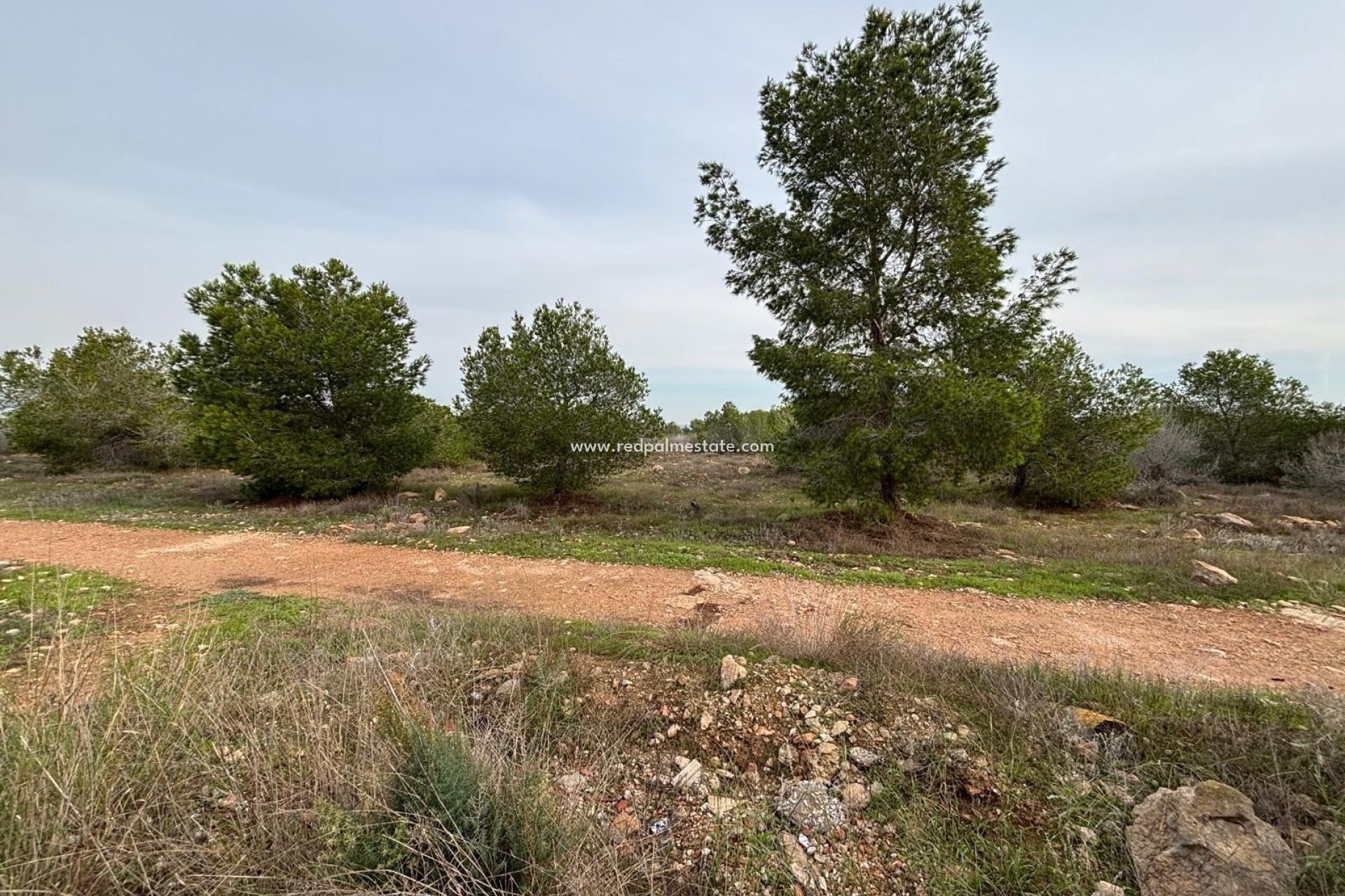 Resale - Bungalow -
Torrevieja - La Siesta - El Salado - Torreta