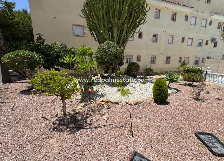 Resale - Bungalow -
Torrevieja - La Siesta - El Salado - Torreta