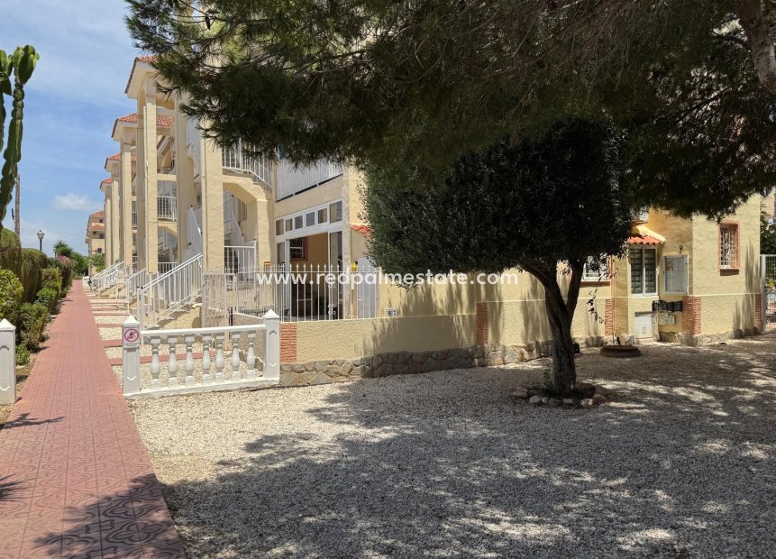 Resale - Bungalow -
Torrevieja - La Siesta - El Salado - Torreta