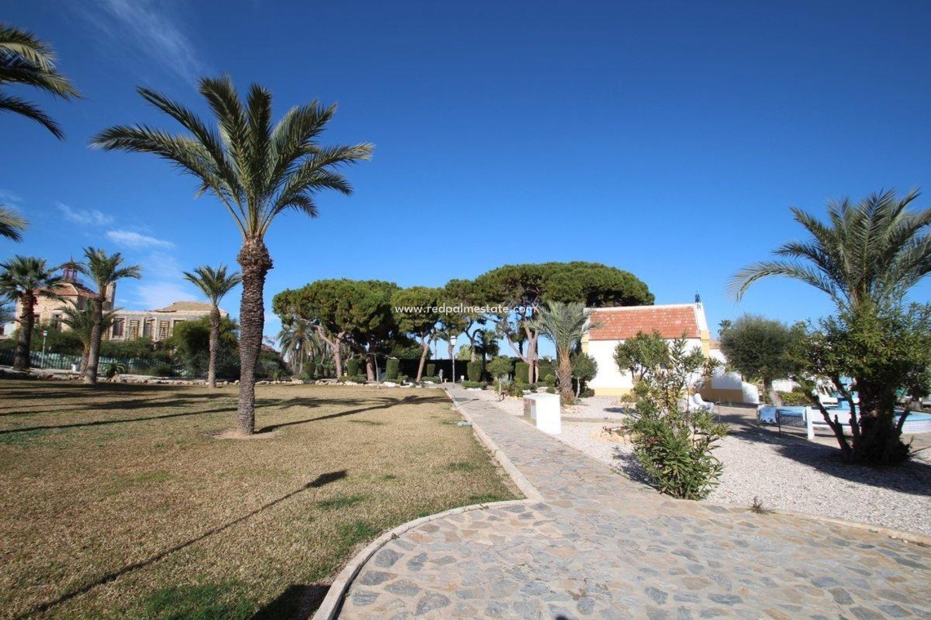 Resale - Bungalow -
Torrevieja - Los balcones