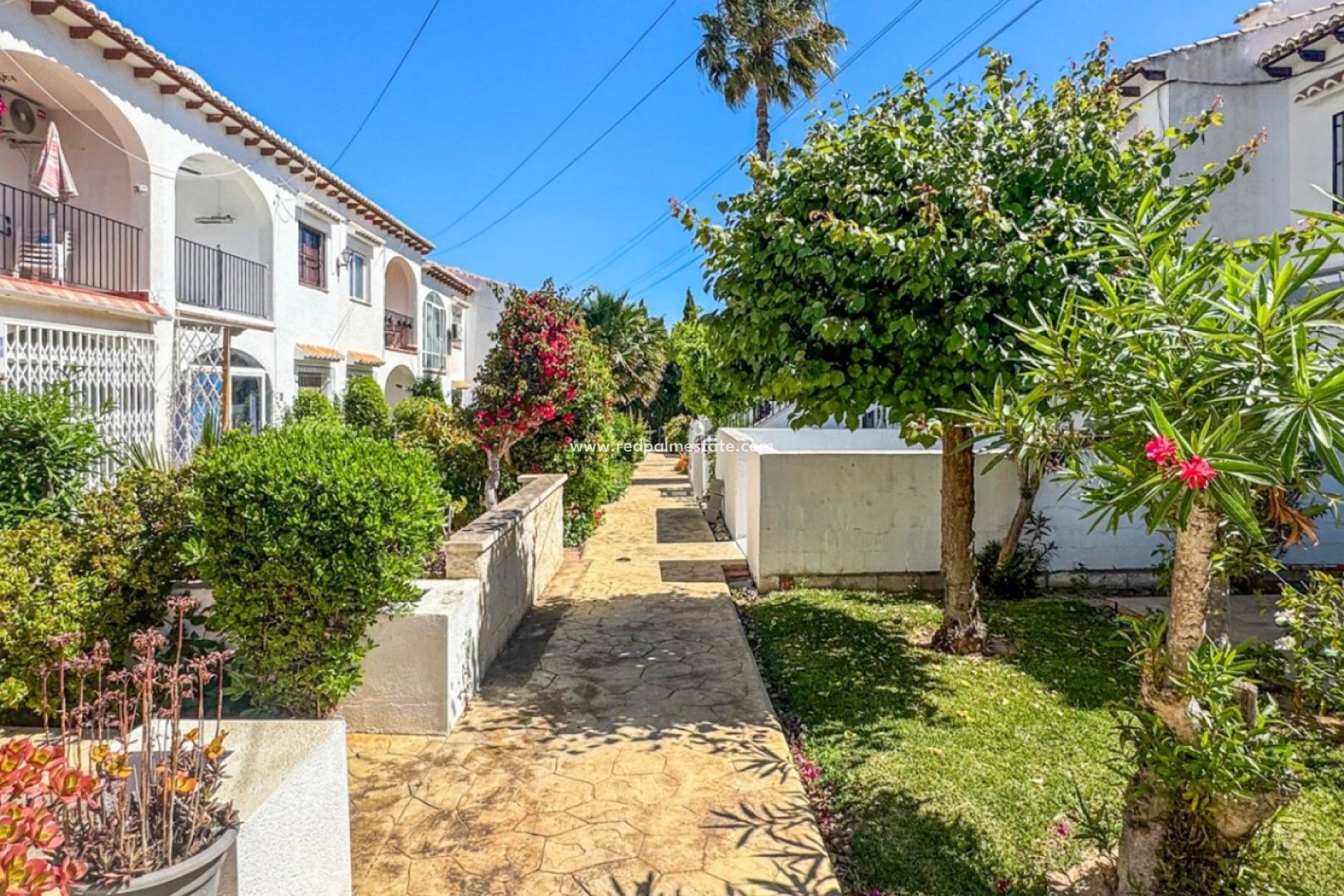 Resale - Bungalow -
Torrevieja - Los balcones