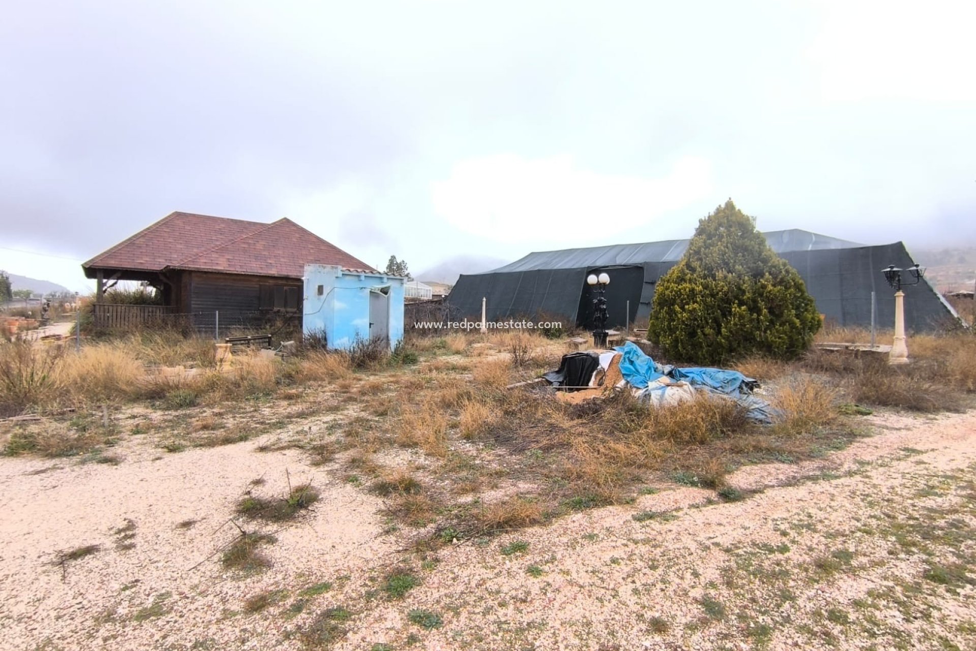 Resale - Business -
Algayat - Inland