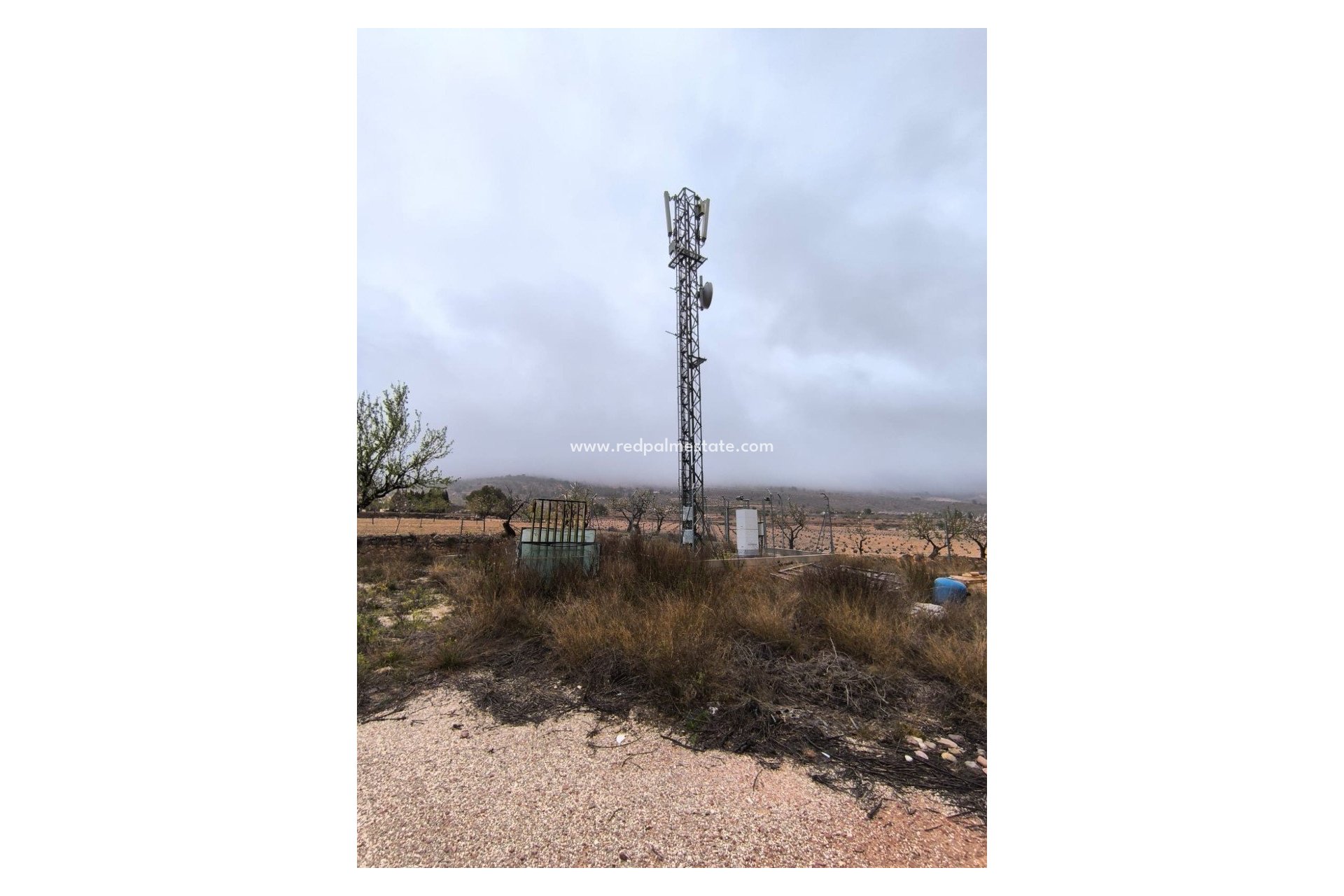 Resale - Business -
Algayat - Inland