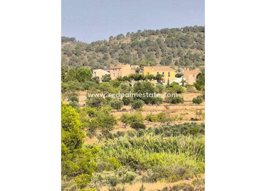 Resale - Business -
Casas del Senor - Inland