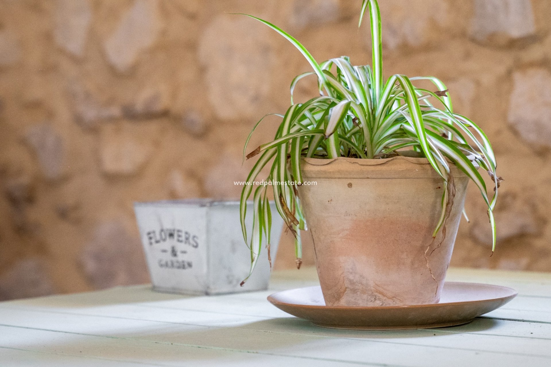 Resale - Business -
Castalla - Inland