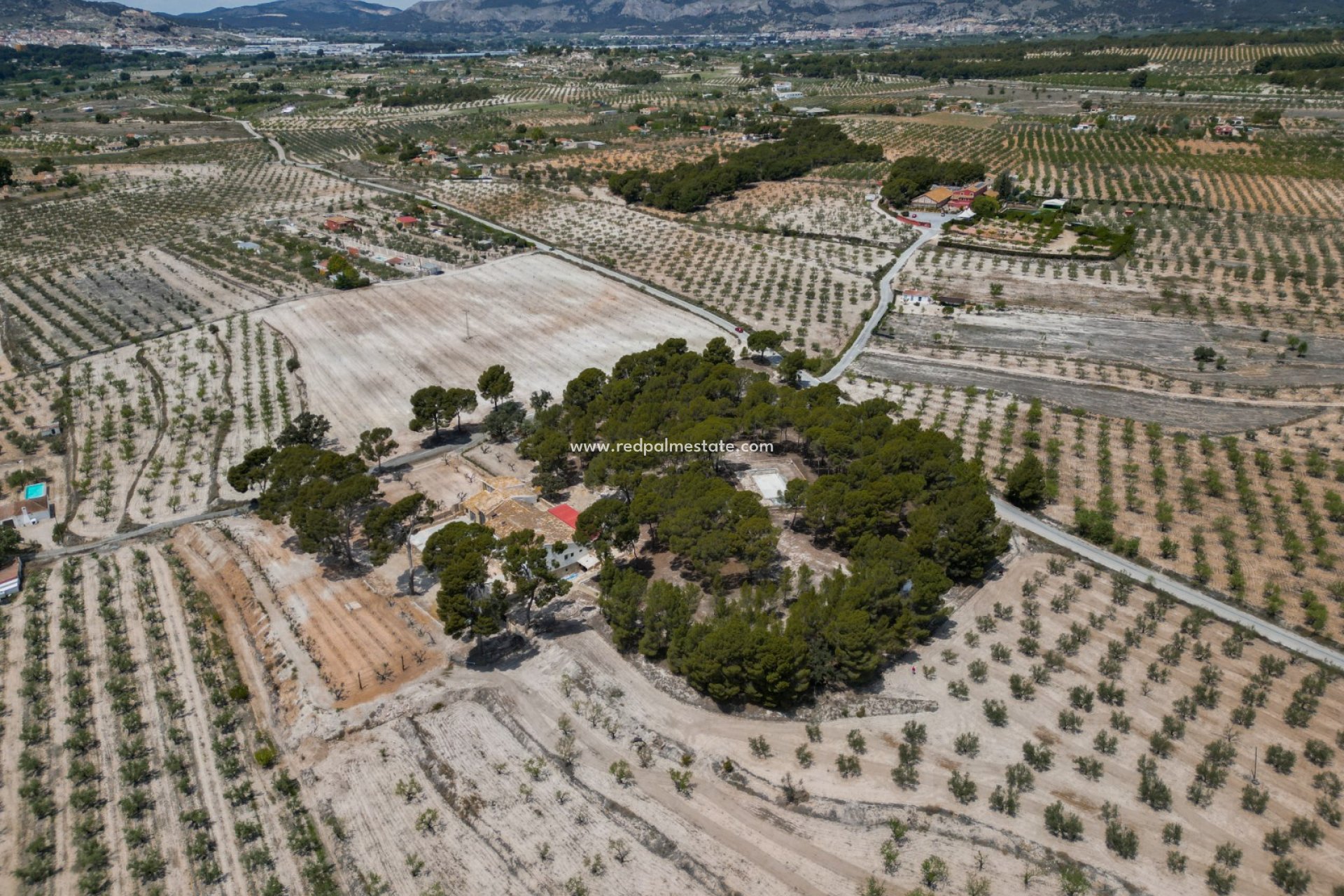 Resale - Business -
Castalla - Inland