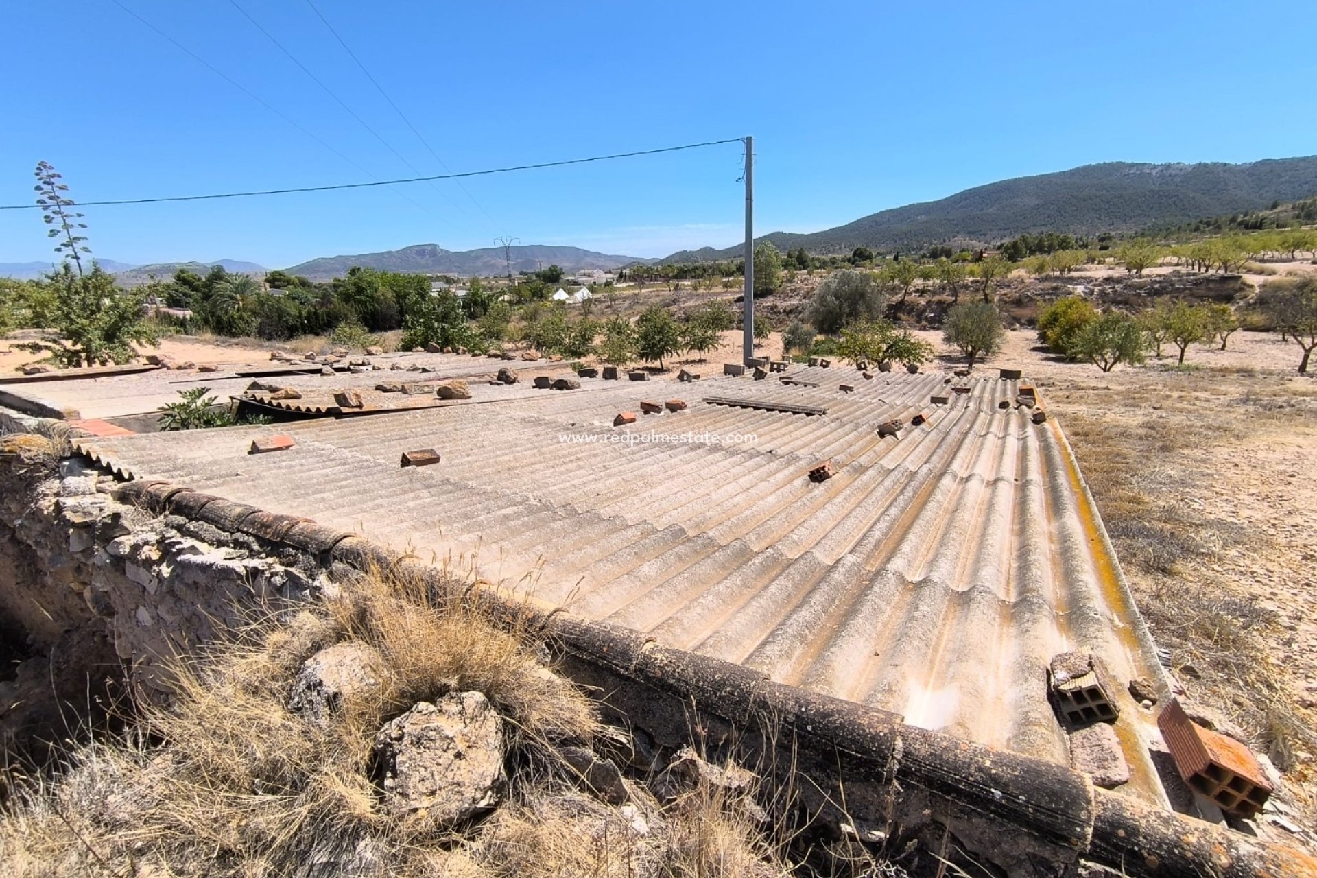 Resale - Business -
Chinorlet - Inland