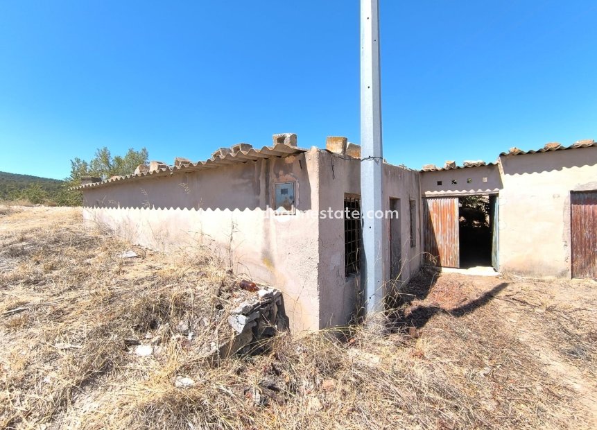 Resale - Business -
Chinorlet - Inland