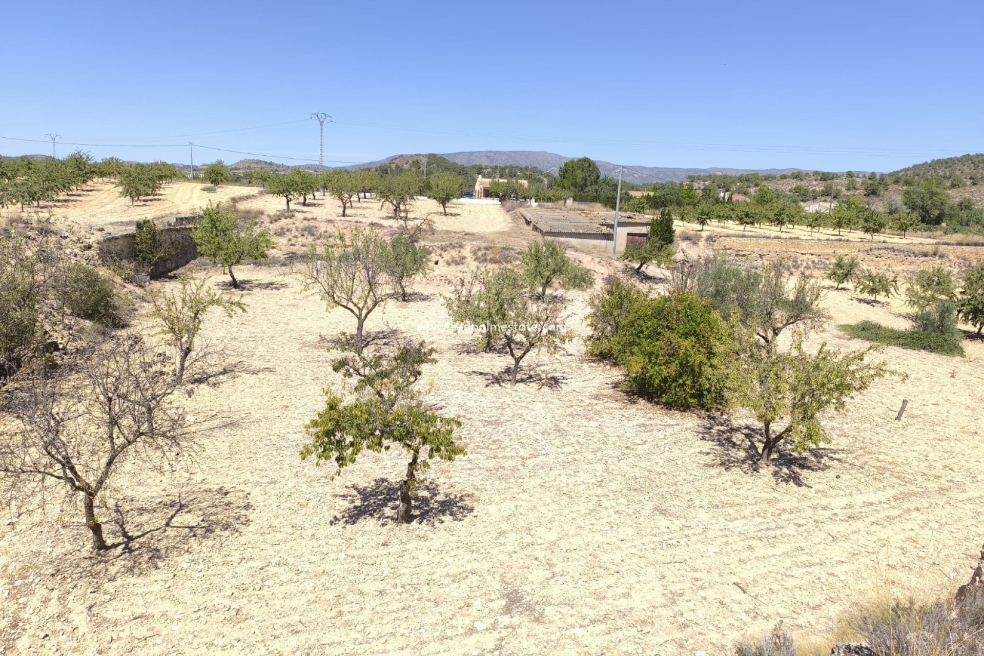 Resale - Business -
Chinorlet - Inland