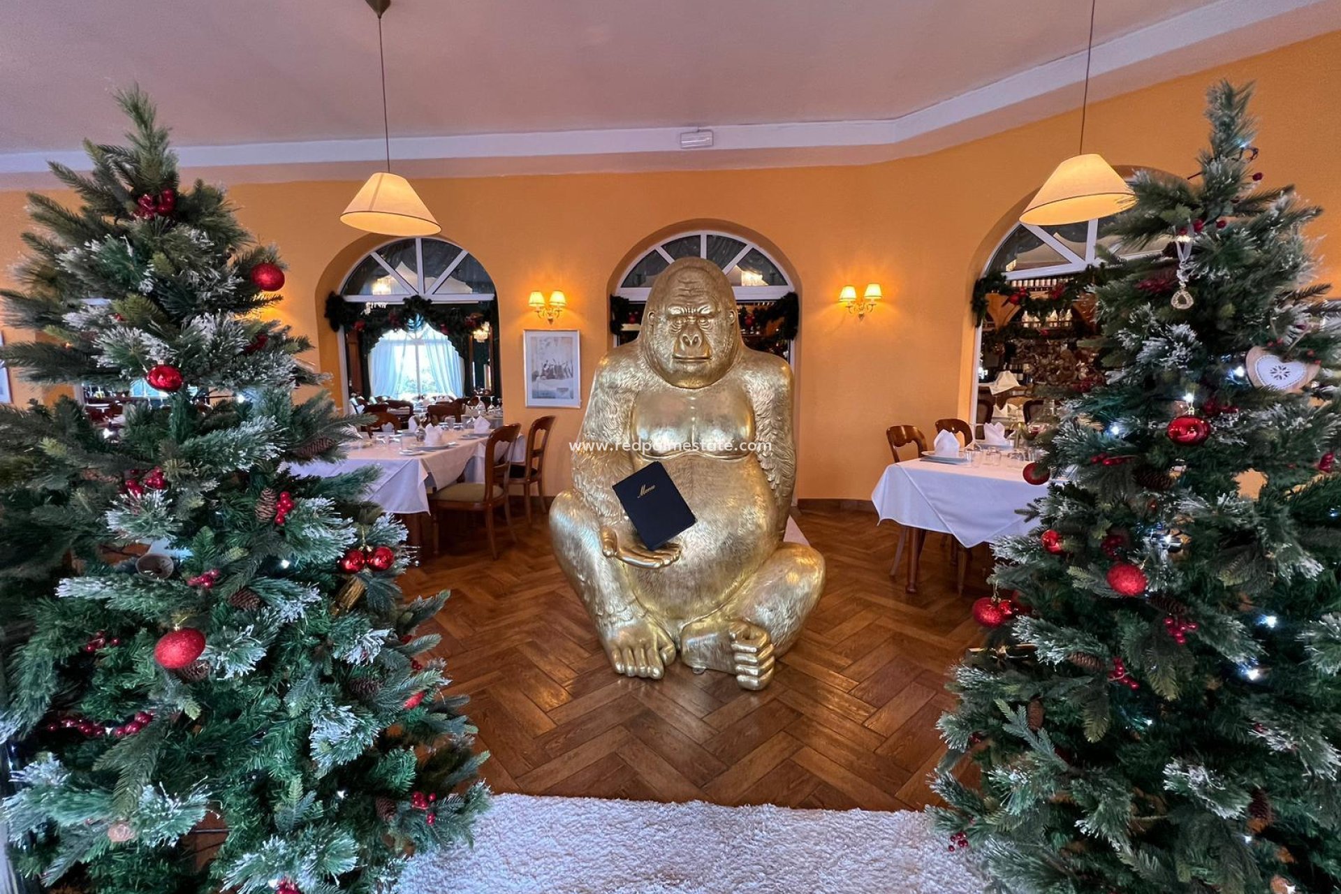 Resale - Business -
Ciudad Quesada - Ciudad quesada