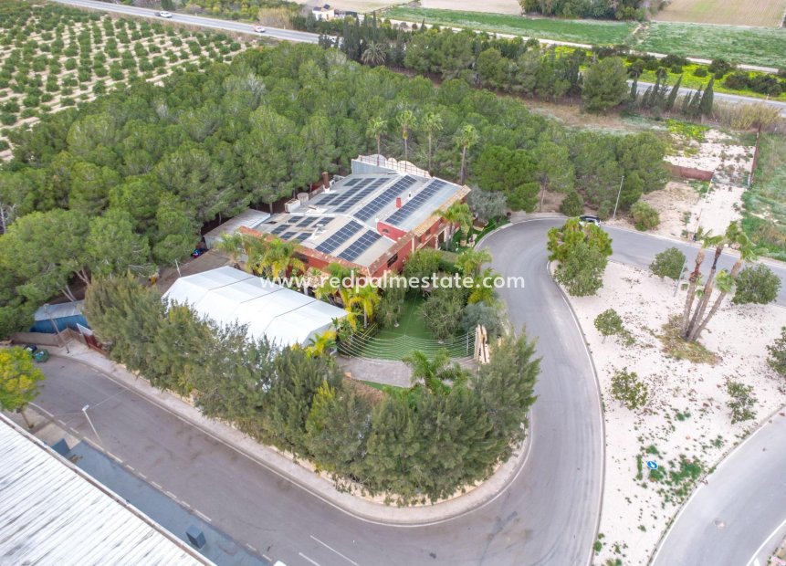 Resale - Business -
Ciudad Quesada/Rojales - Heredades