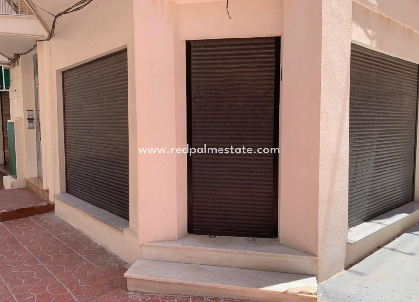 Resale - Business -
Guardamar del Segura - Costa Blanca