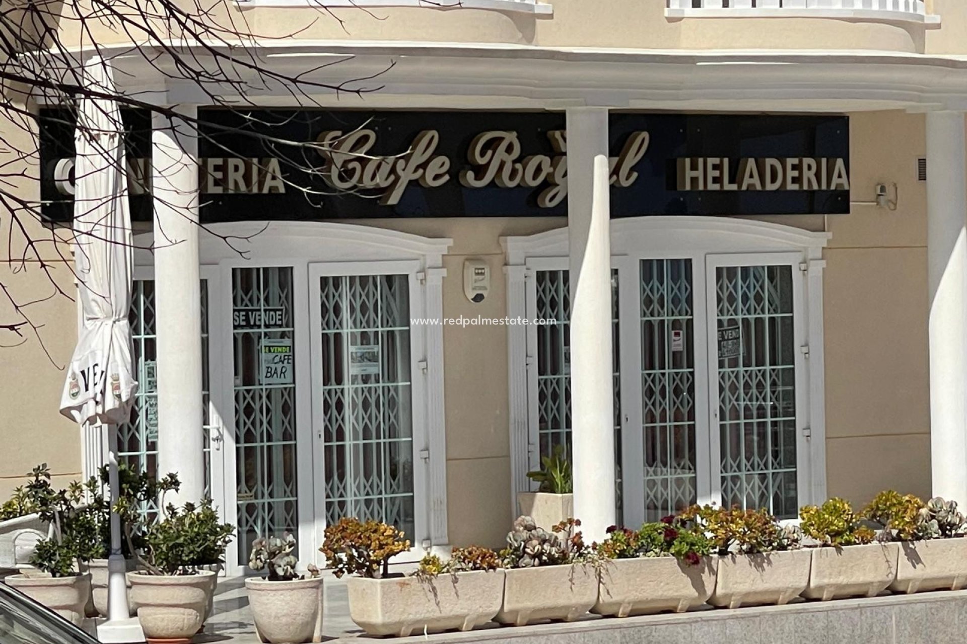 Resale - Business -
Guardamar del Segura - Costa Blanca