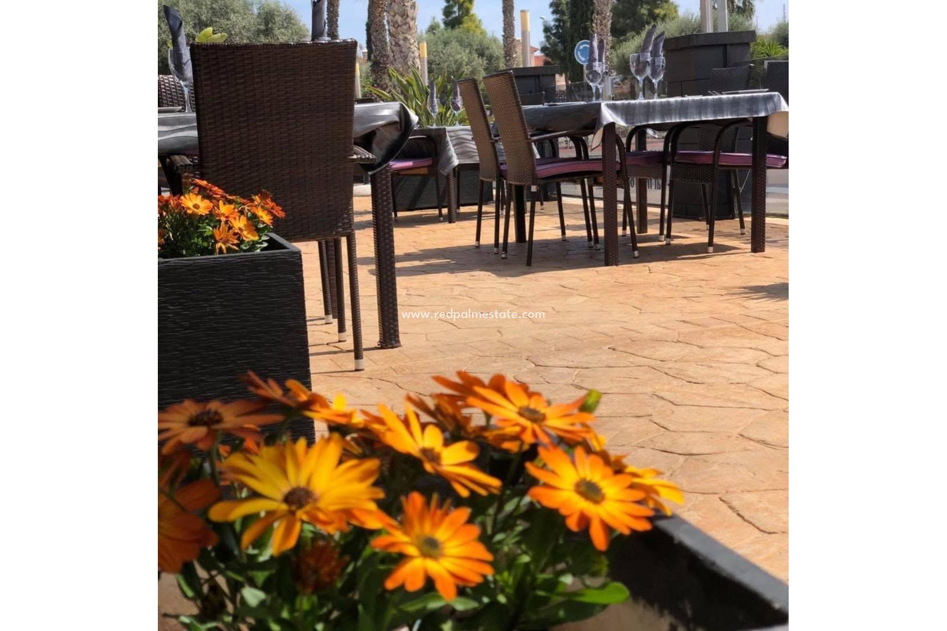 Resale - Business -
Guardamar del Segura - Guardamar