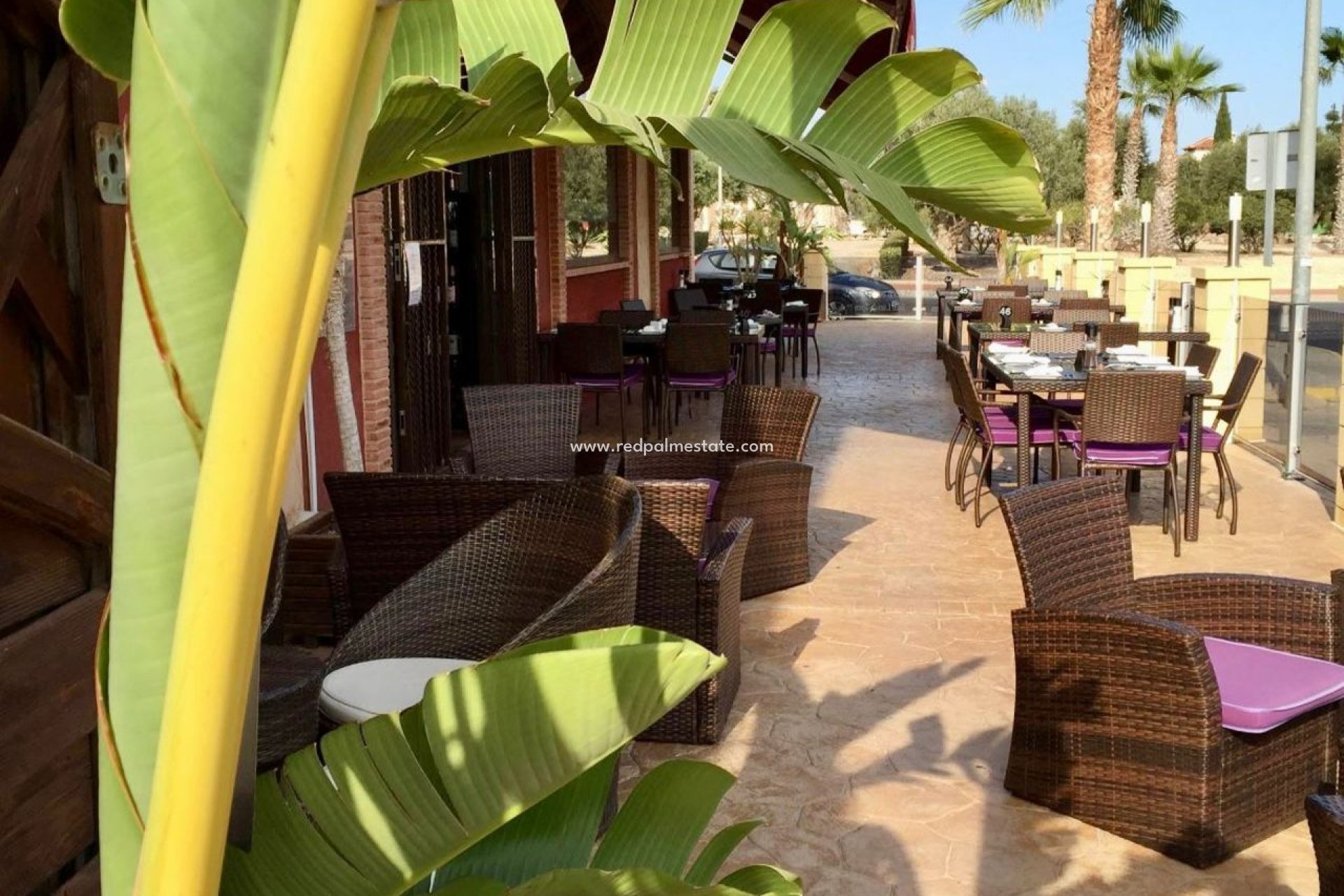 Resale - Business -
Guardamar del Segura - Guardamar