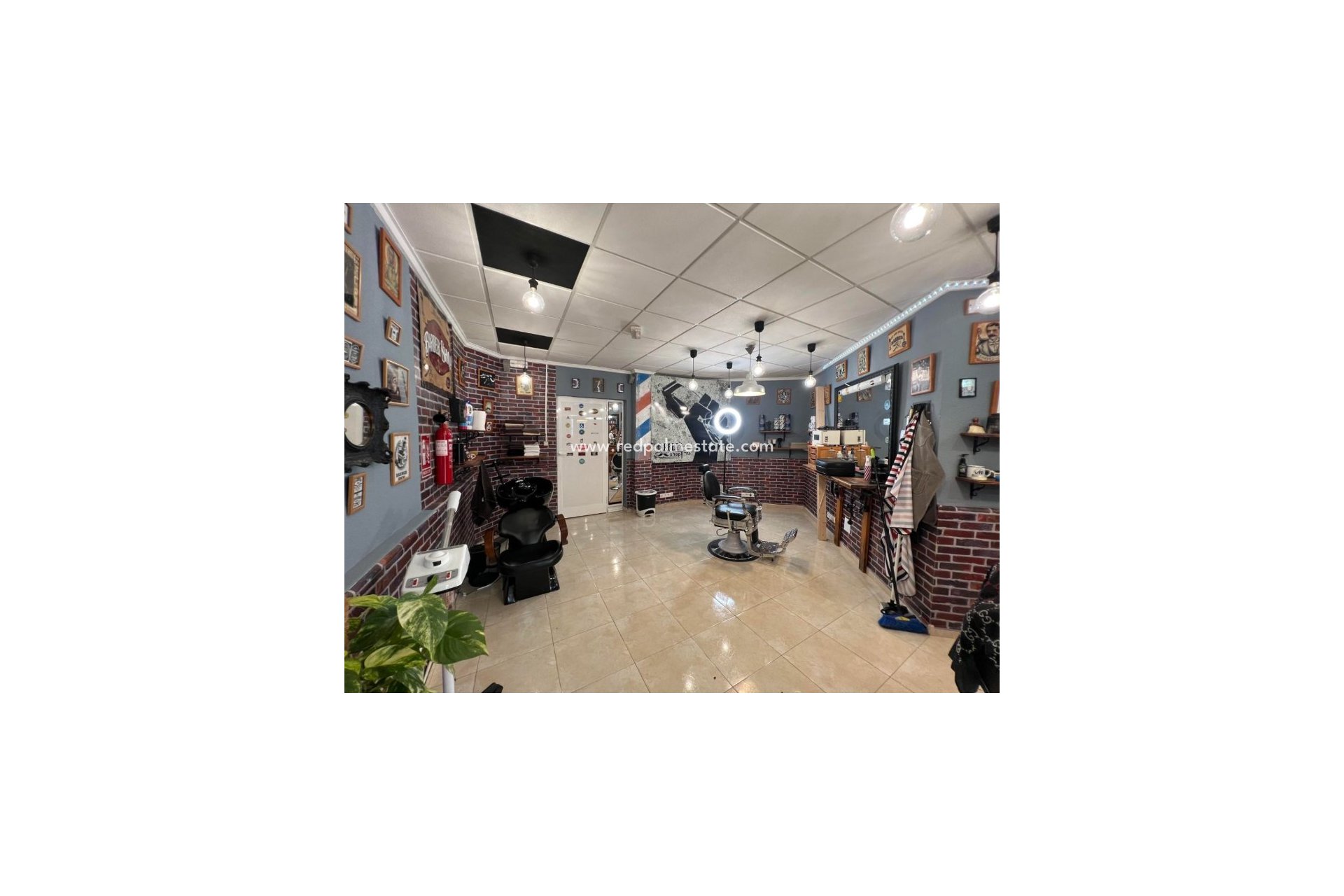 Resale - Business -
Guardamar del Segura - Guardamar