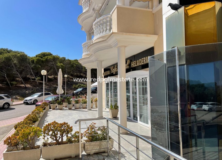 Resale - Business -
Guardamar del Segura - Guardamar