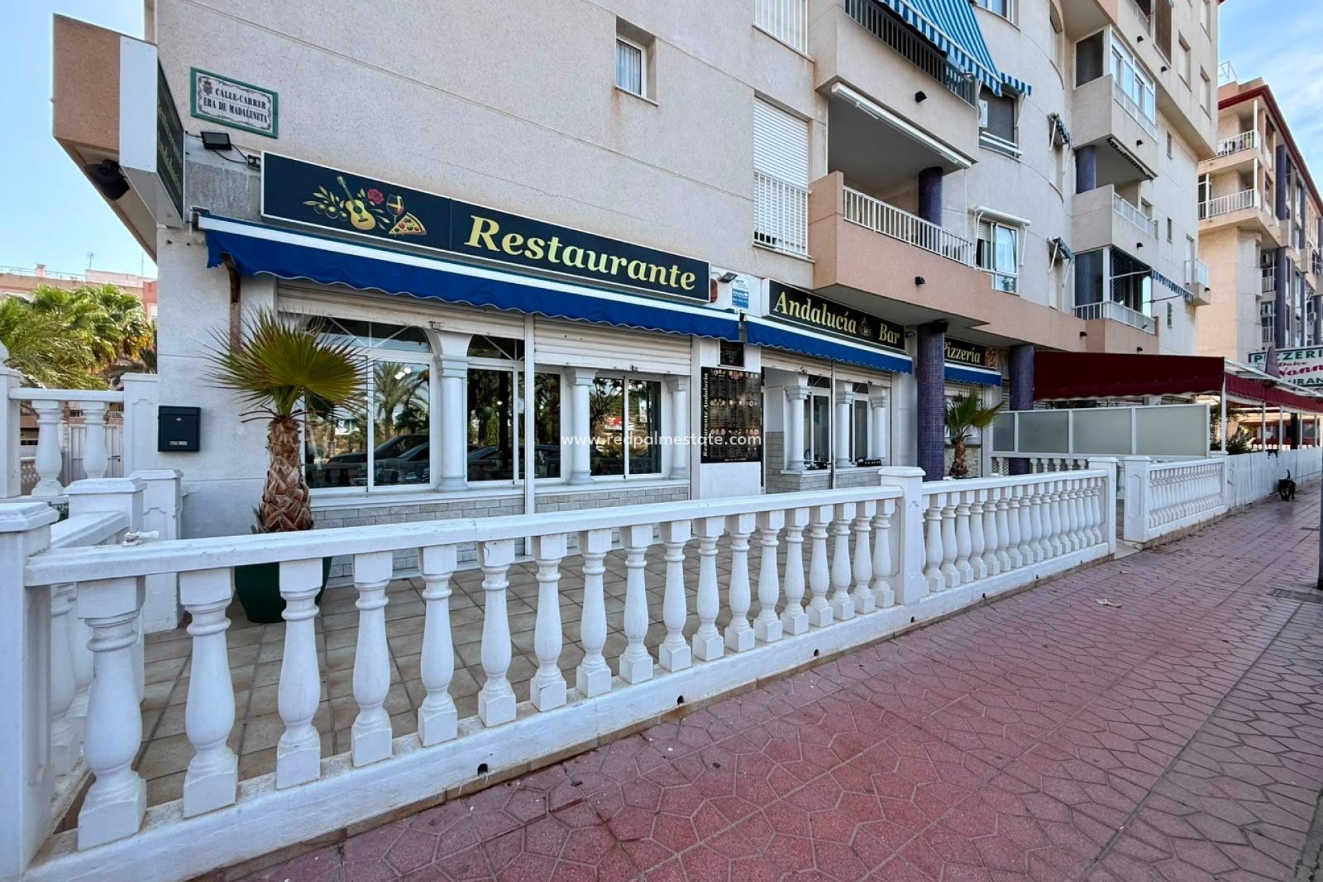 Resale - Business -
Guardamar del Segura - Los Secanos