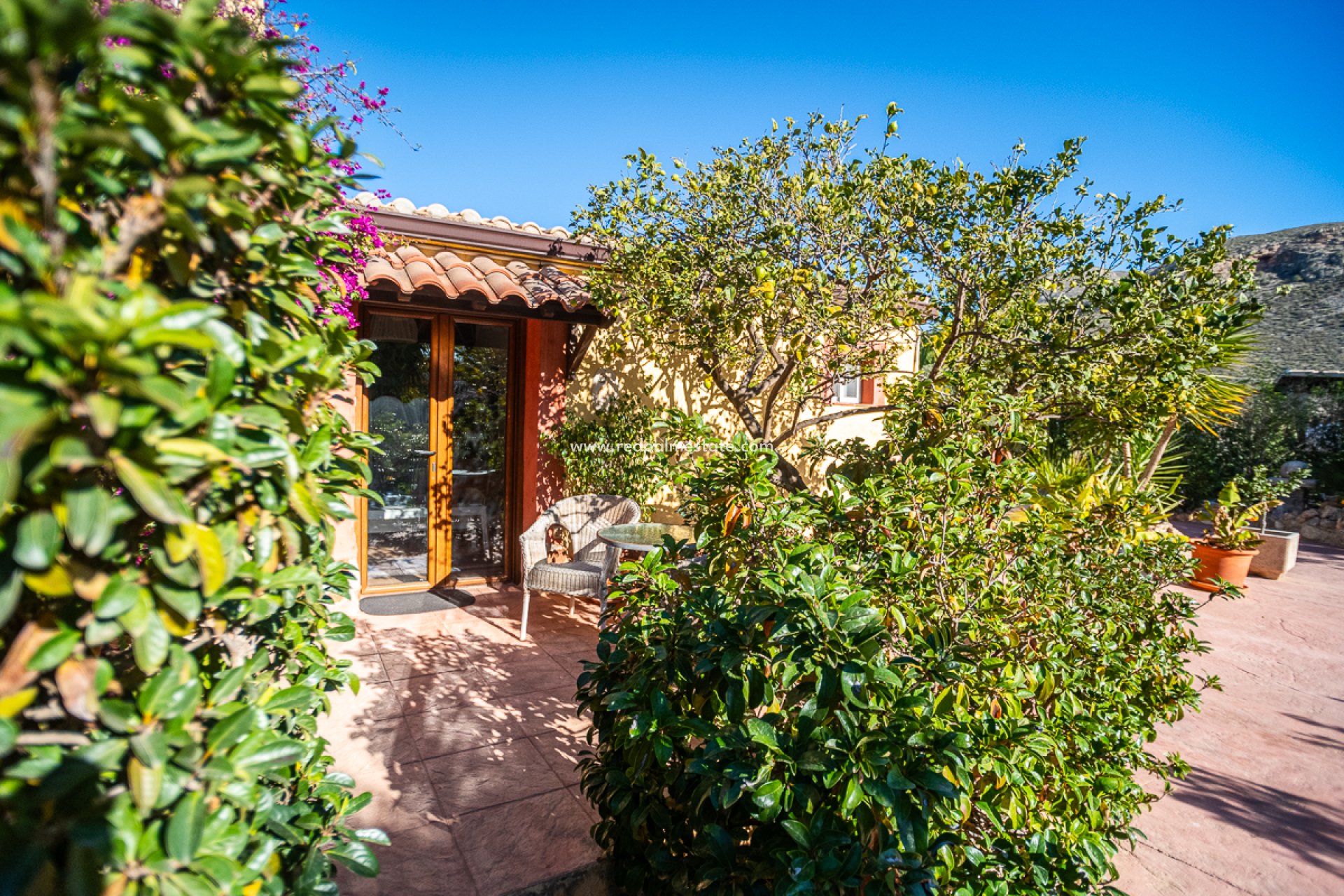 Resale - Business -
Hondón de las Nieves - Inland