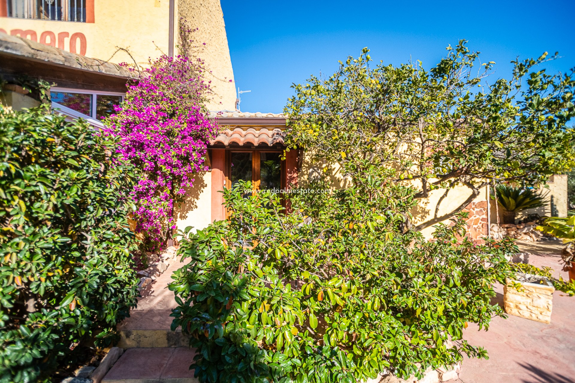 Resale - Business -
Hondón de las Nieves - Inland