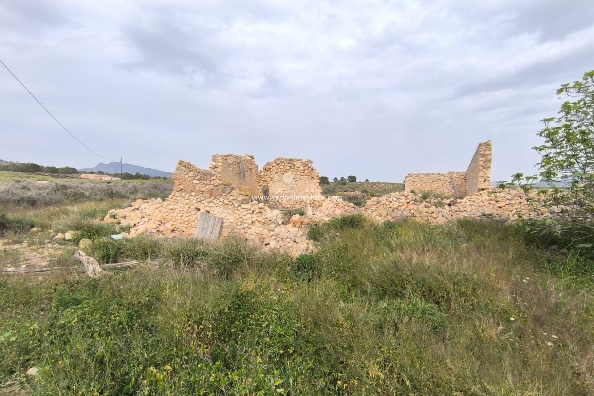 Resale - Business -
Las Encebras - Inland