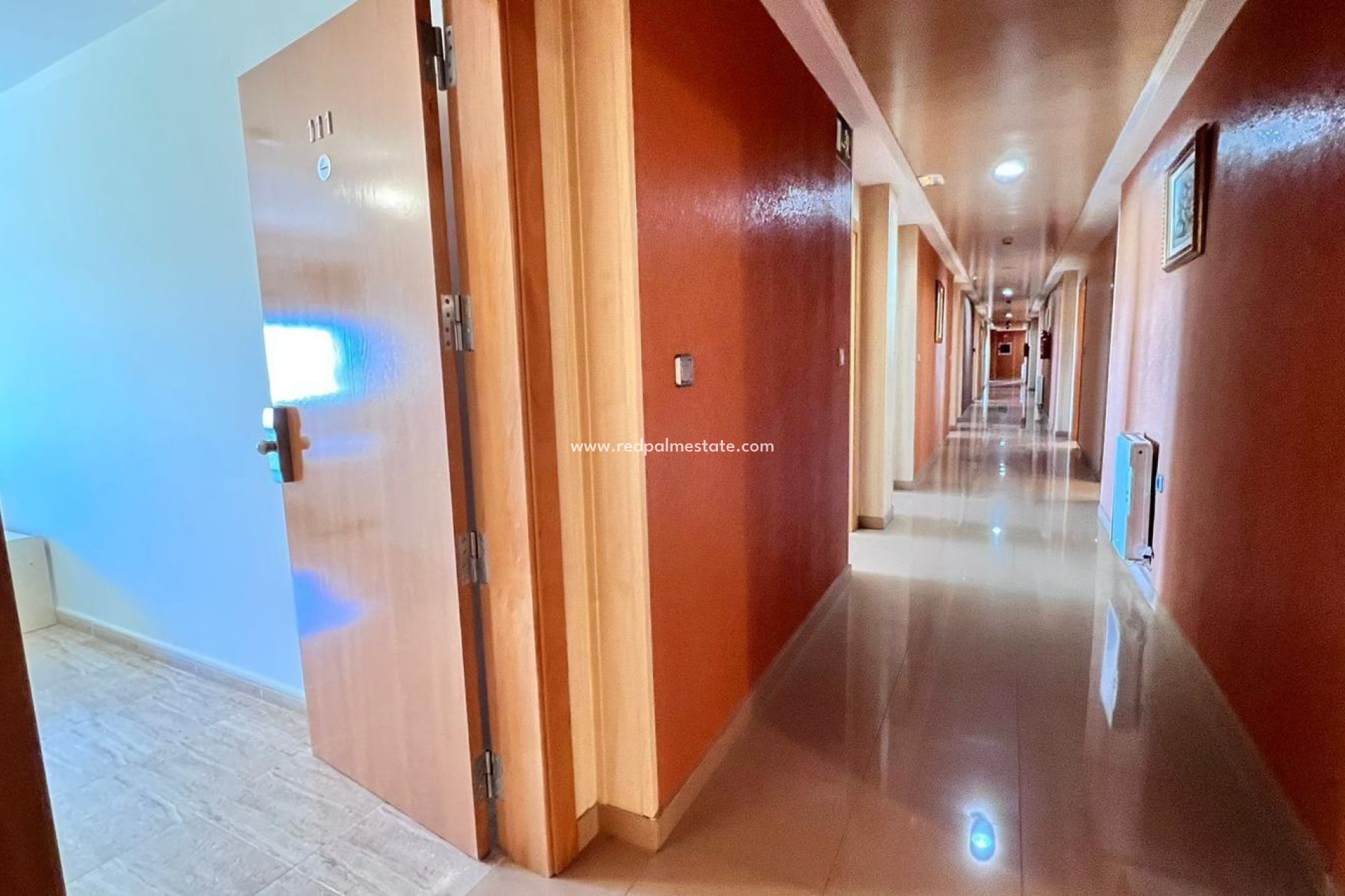 Resale - Business -
Montesinos - Los Montesinos