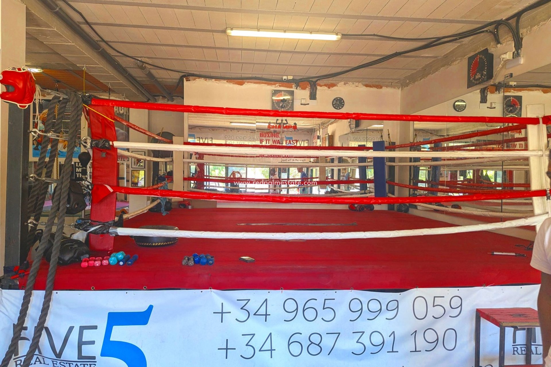 Resale - Business -
Orihuela Costa - La Fuente