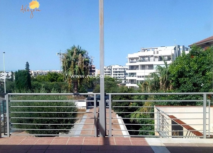 Resale - Business -
Orihuela Costa - Los Dolses