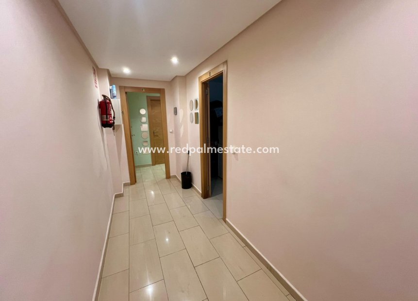 Resale - Business -
Orihuela* - Zona Centro